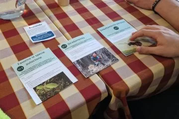 Stakeholder e gestione del territorio:  come un gioco di ruolo può aiutare a trovare un punto di incontro