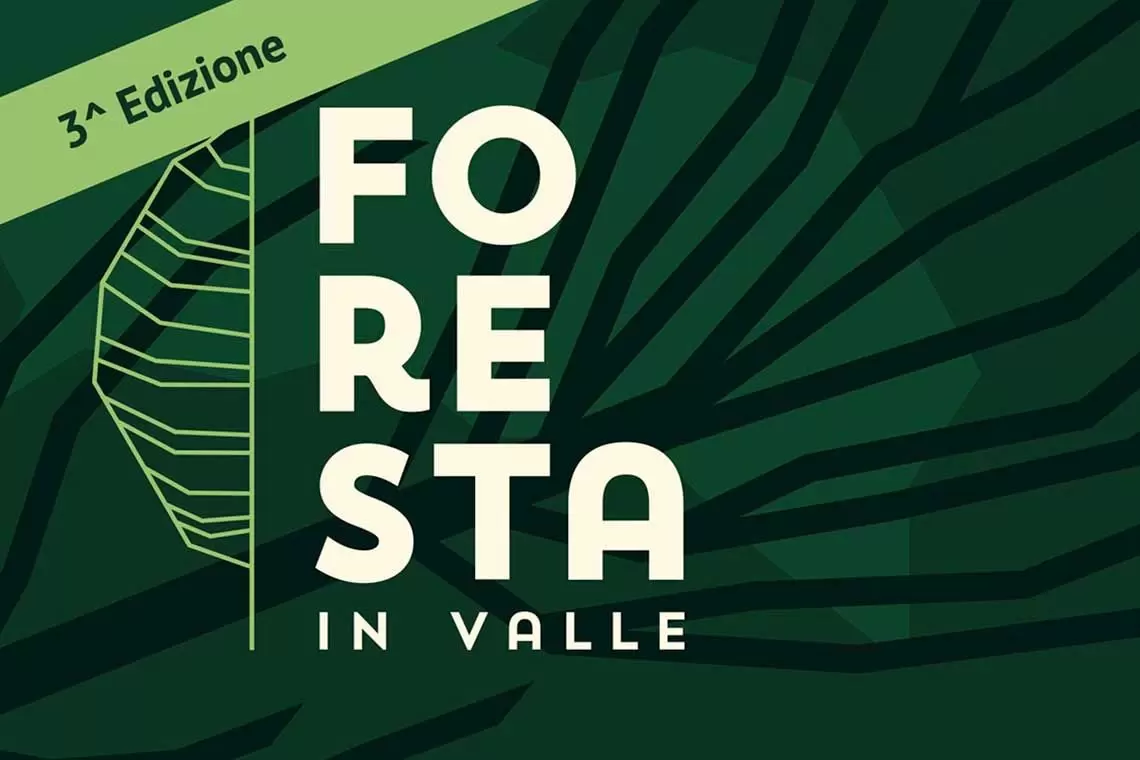 Forum Internazionale “Foreste senza Confini” a Foresta In Valle 2025