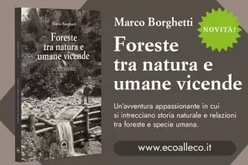 “Foreste tra natura e umane vicende”, su Ecoalleco il nuovo libro di Marco Borghetti edito da Compagnia delle Foreste