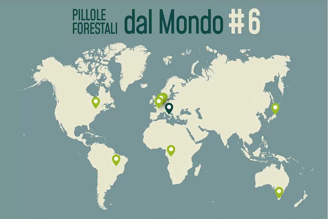 Pillole forestali dal mondo #06 - Dalla piattaforma europea sui rischi forestali al più grande incendio boschivo del Giappone 