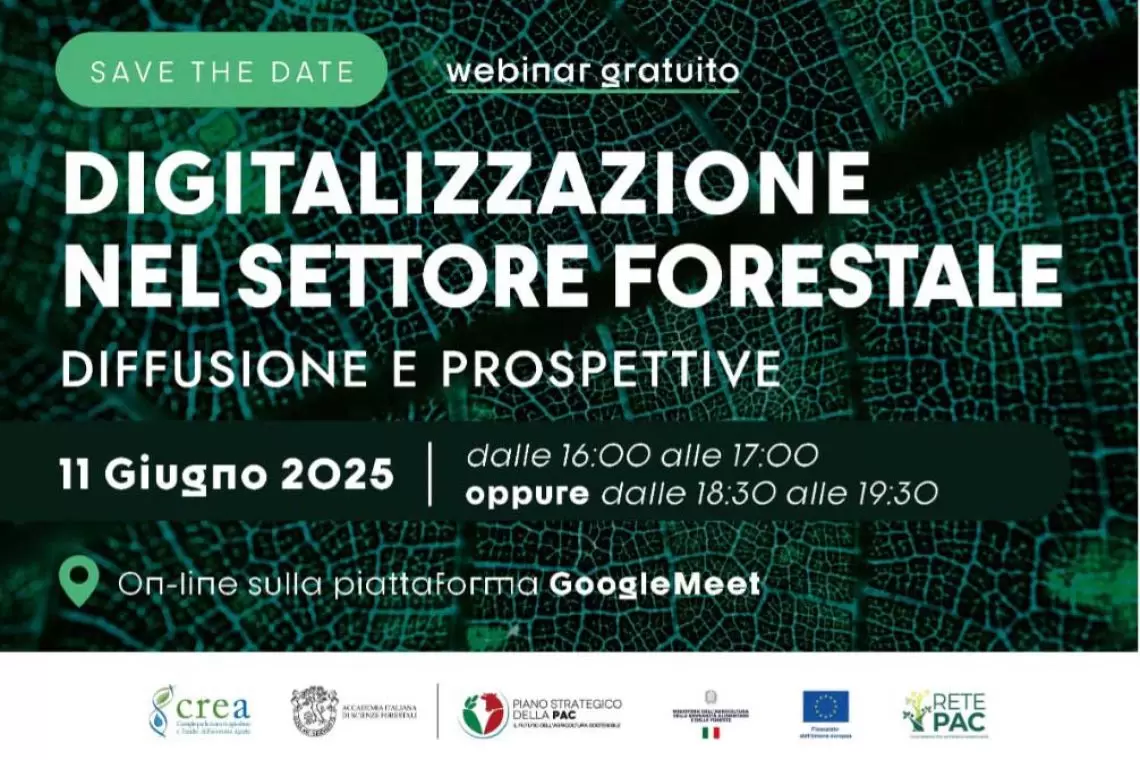 Tecnologie e innovazione: un webinar sulle strategie per rendere più efficiente la gestione forestale