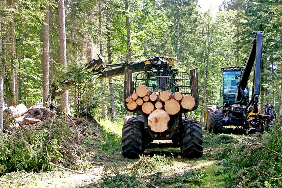 Nuovi contributi finanziari per le imprese boschive e della lavorazione del legno - SPORTELLO CHIUSO