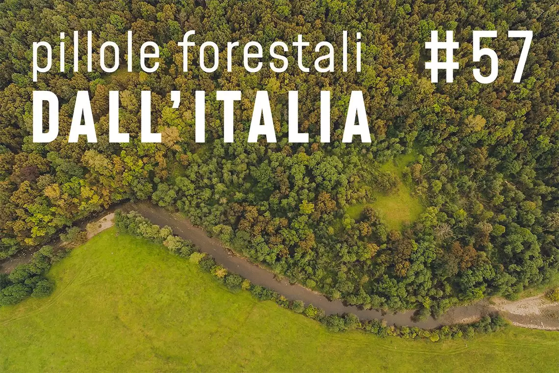 Pillole forestali dall'Italia puntata 57