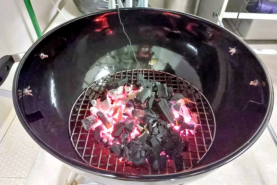 Qualità del carbone da barbecue e impatto sulle emissioni: evidenze sperimentali dal mercato italiano
