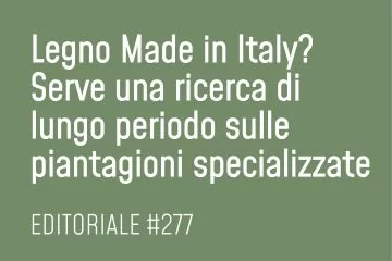 Legno Made in Italy? Serve una ricerca di lungo periodo sulle piantagioni specializzate