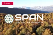 5 video del LIFE SPAN per spiegare come realizzare dei “Siti Habitat per Saproxilici” 