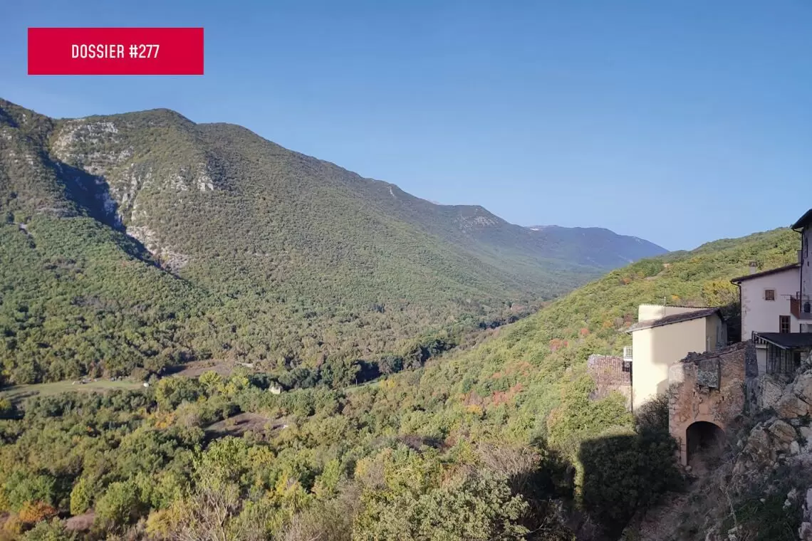 Unire le filiere: dal bosco alla CER termica