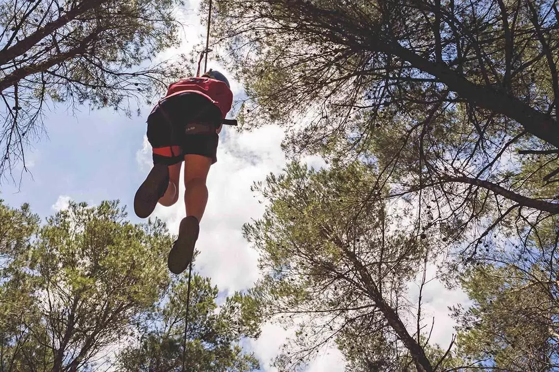 Nasce Puglia in Bosco: l’associazione si presenta a Bari con un calendario di eventi nei Boschi Didattici di Puglia