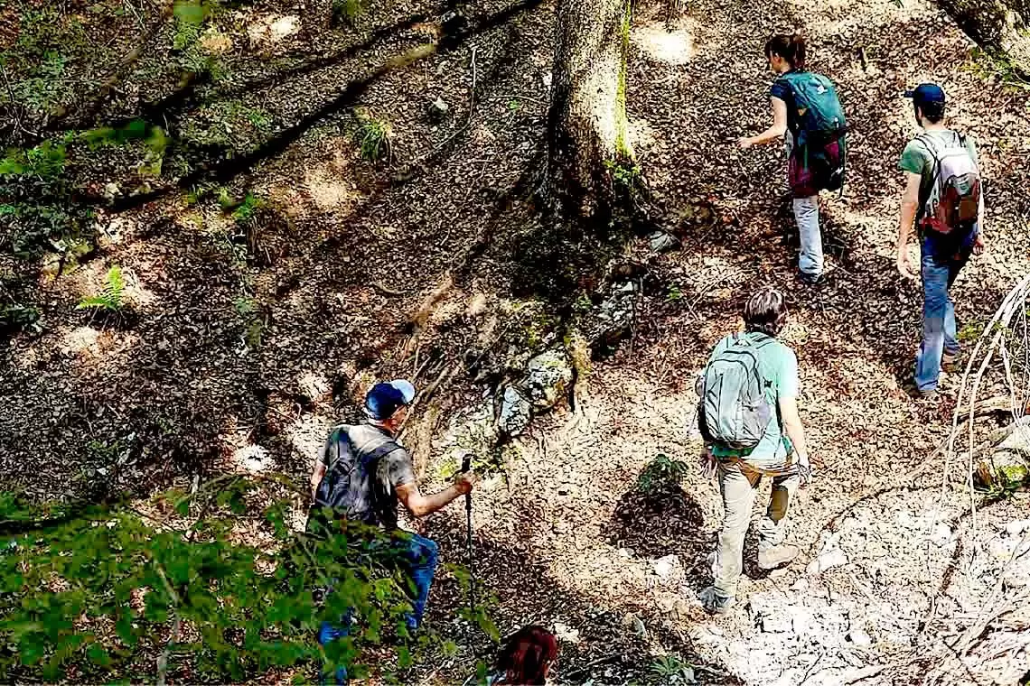 Boschi che uniscono - Il bando “Forest Association Contest” e gli strumenti per le associazioni forestali SMART.