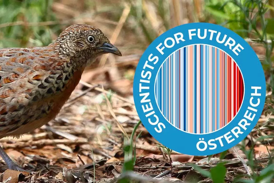 Colmare il divario di finanziamenti per la biodiversità: un appello scientifico all’azione nel prossimo bilancio dell’UE