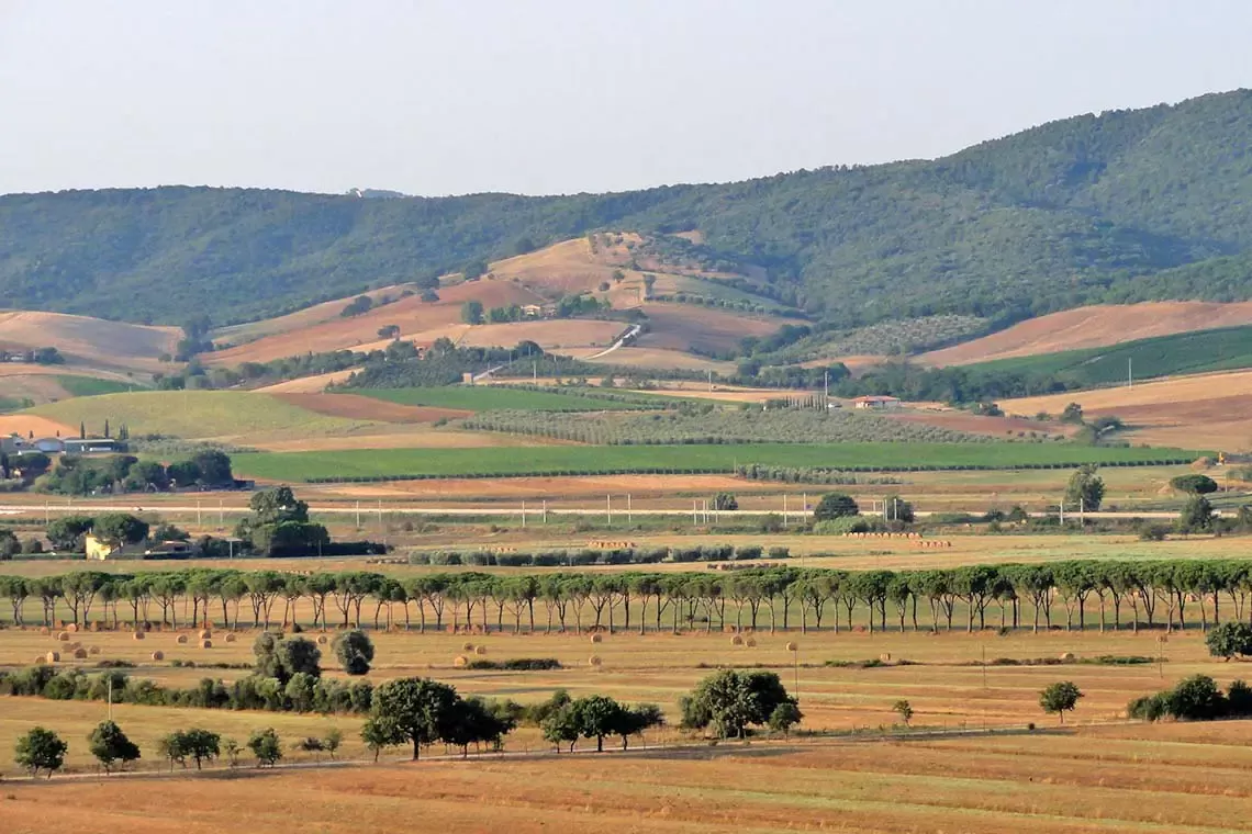 Save the date: Incontro tecnico nazionale di Pro Silva Italia in Maremma (Toscana)