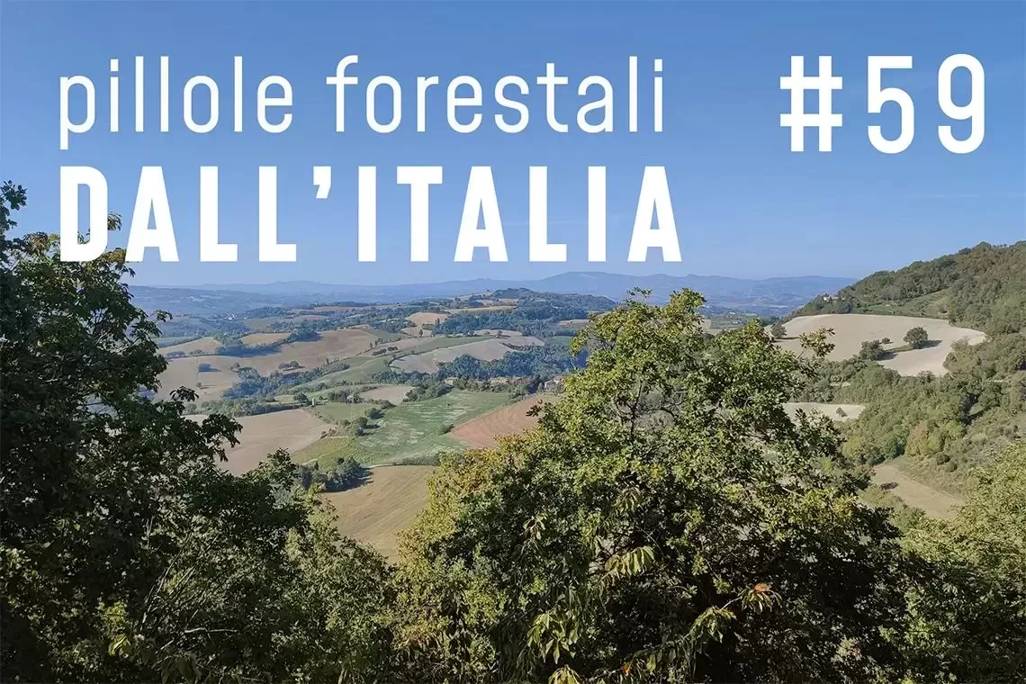 Pillole forestali dall'Italia puntata 59
