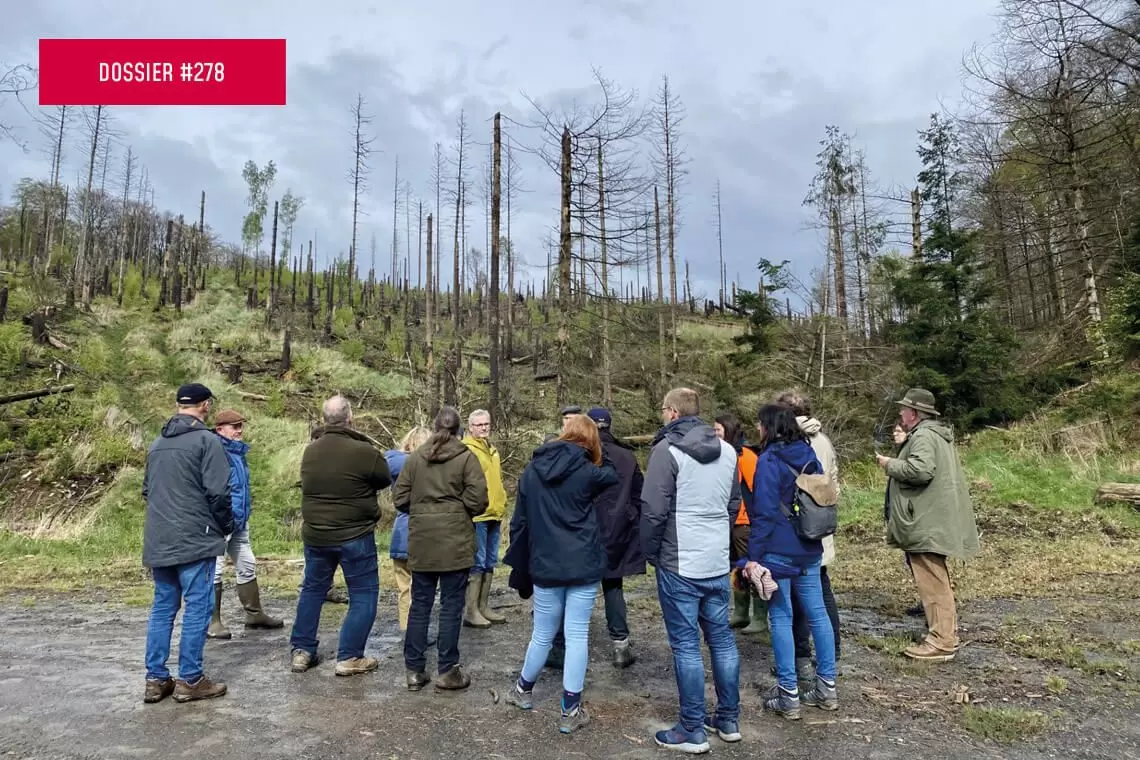 SUPERB. Diffondere il ripristino forestale urgente