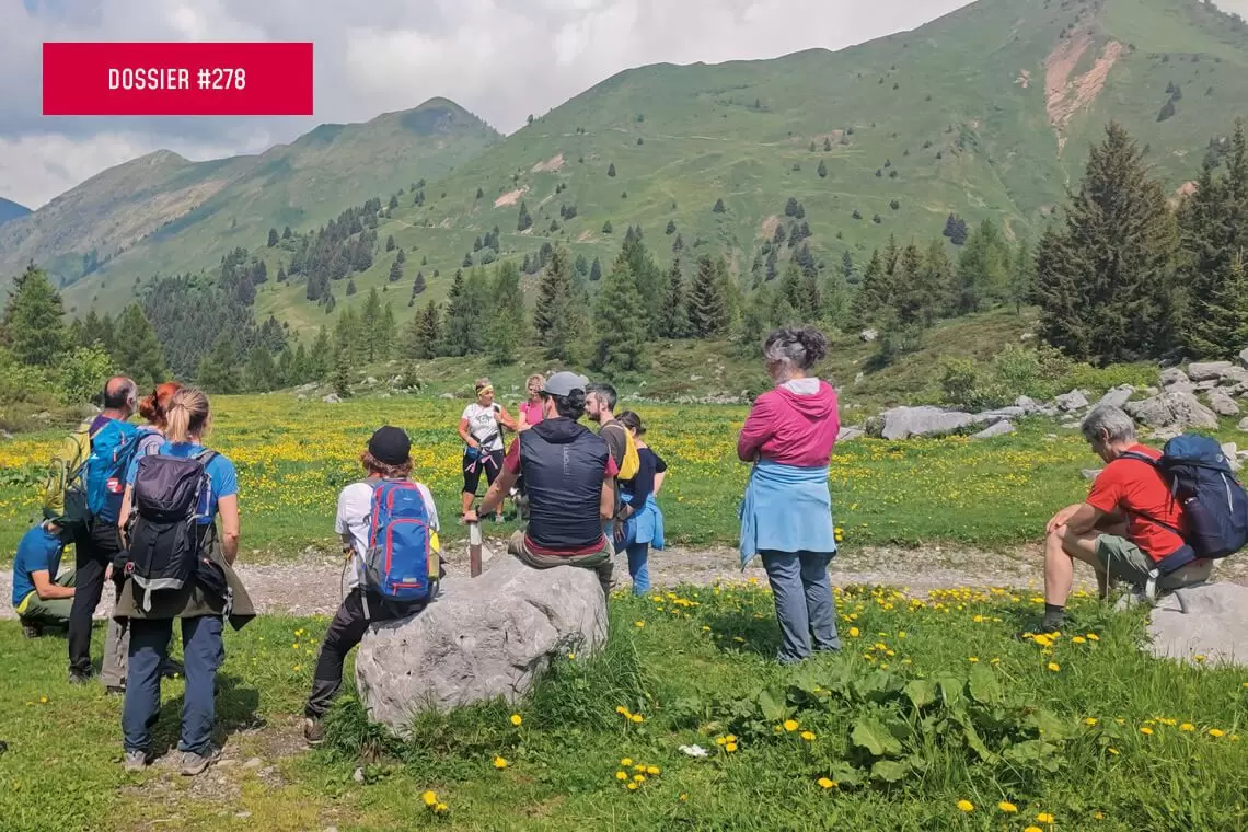 Imparare come gli stakeholders interagiscono con la foresta