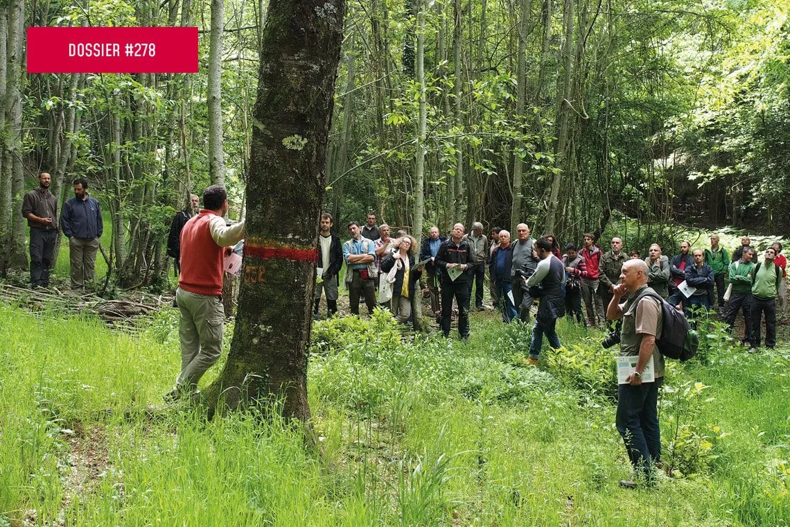Coinvolgimento stakeholder e strategie di cambiamento