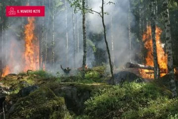 2 miliardi di euro all’anno: i danni economici degli incendi boschivi in Europa