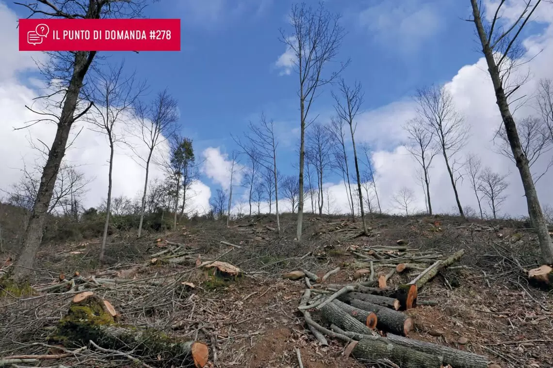 Guide ambientali contro gestori forestali