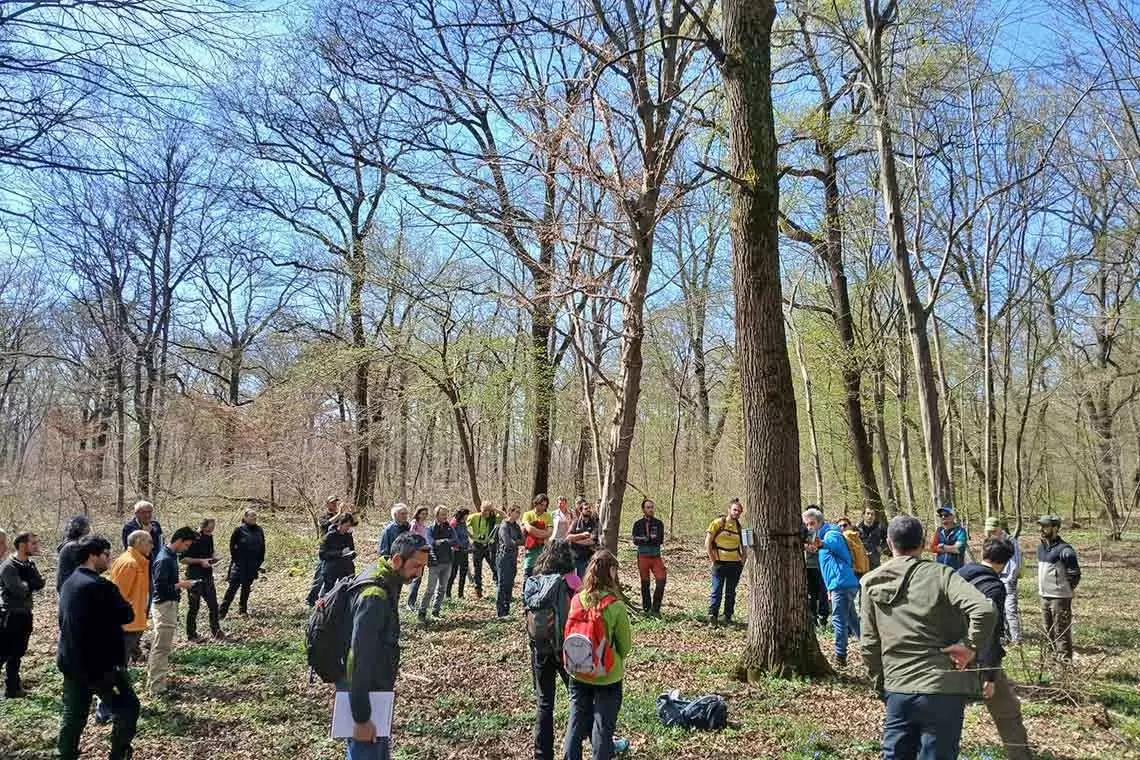 Selvicoltura Mista a Copertura Continua, occasione formativa per due giovani laureati in Scienze Forestali con Pro Silva Italia
