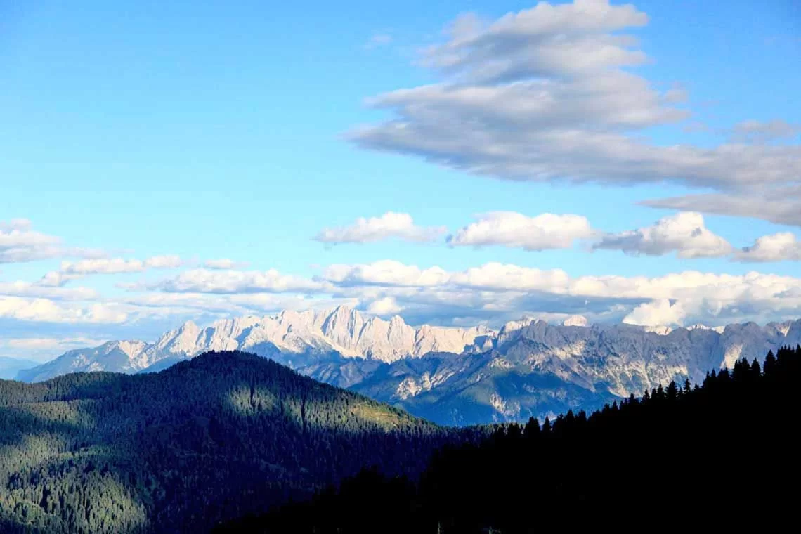 Aste per la vendita di legname nella Foresta di Tarvisio