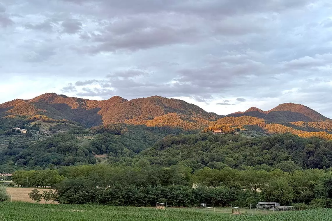 Accademia Italiana di Scienze Forestali - Due premi per giovani ricercatrici e ricercatori
