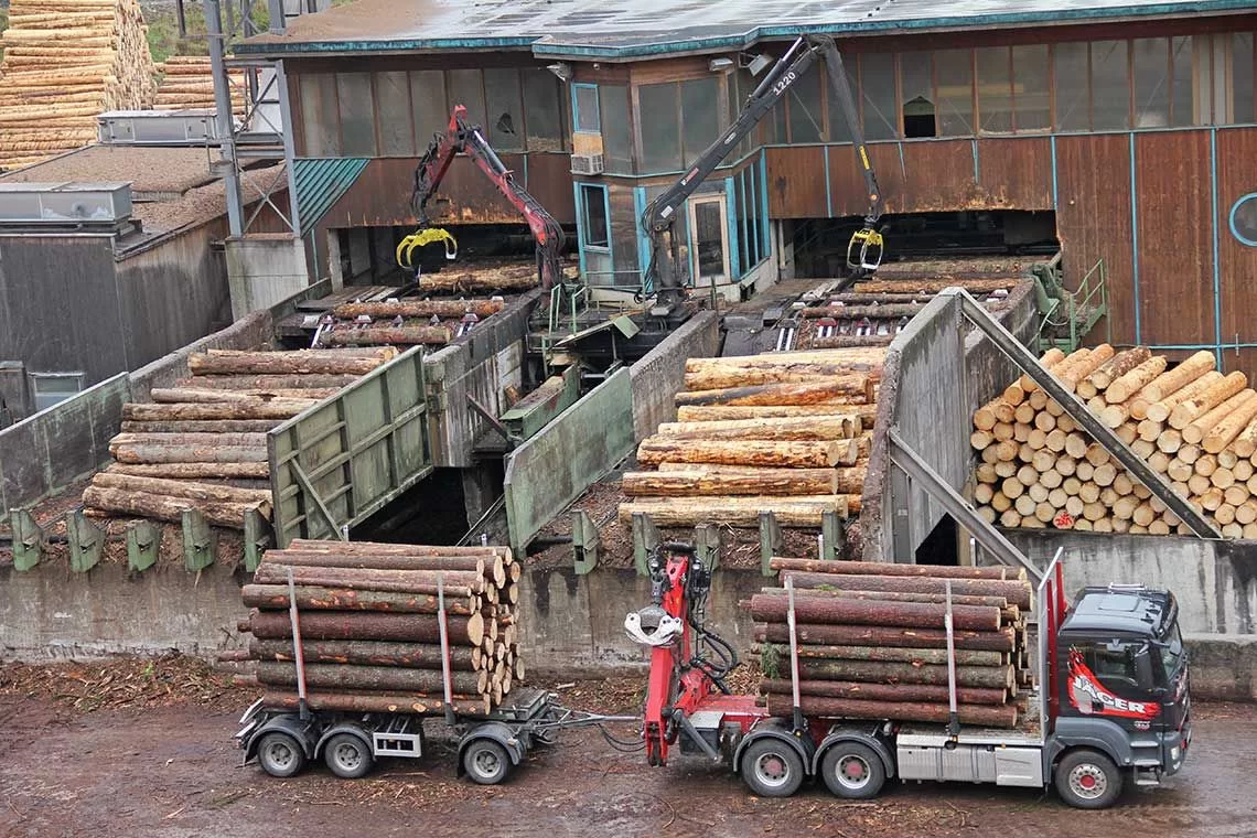 Tavole sinottiche degli obblighi di operatori e commercianti EUDR (aggiornamento agosto 2025)