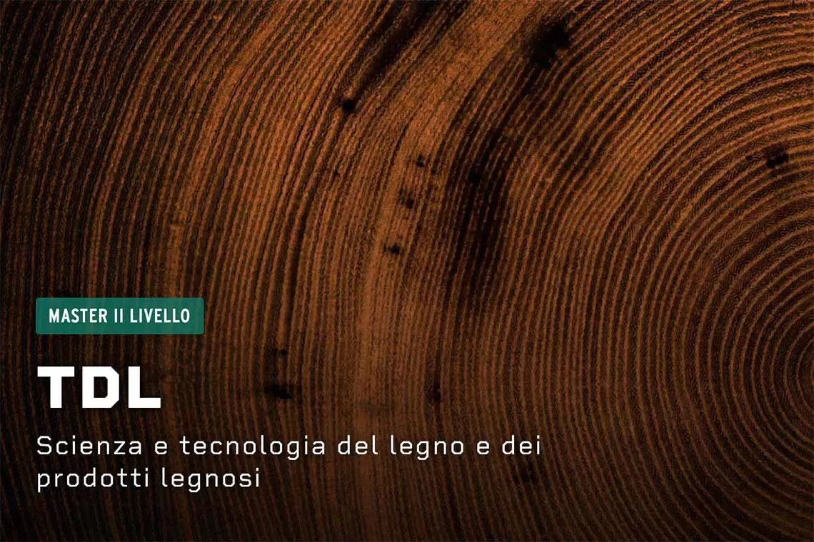 Master post-laurea UNIPD: Scienza e tecnologia del legno e dei prodotti legnosi