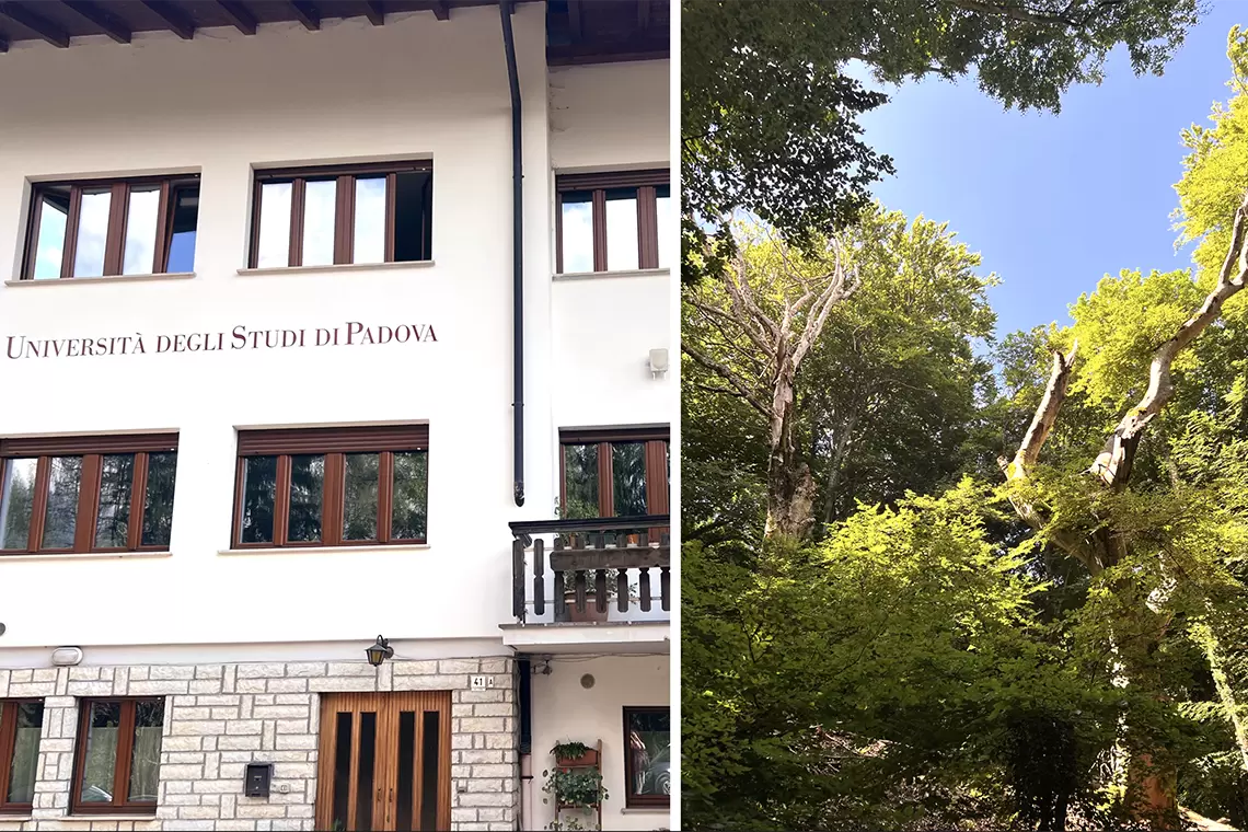 A valle del 59° Corso di Cultura in Ecologia sulle Foreste Vetuste: stepping-stone e interrogativi per la Rete Nazionale