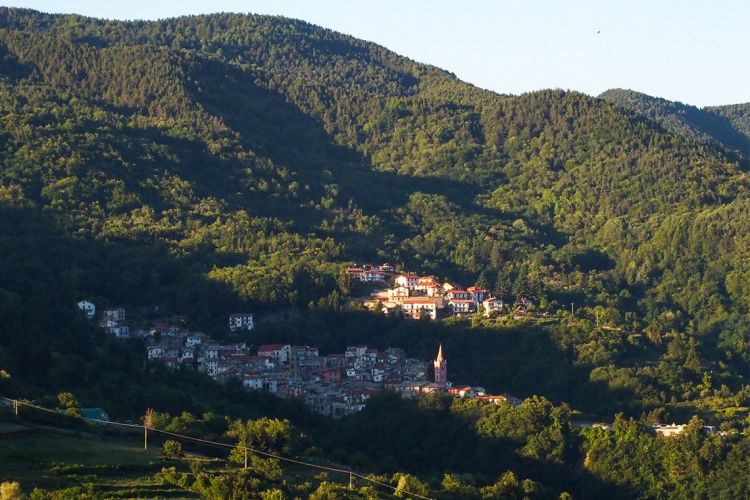 Approvata la nuova legge nazionale sulla montagna: tutte le novità per quanto riguarda il settore forestale e le filiere del legno
