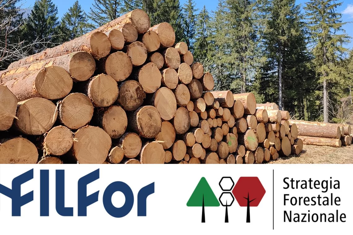 FilFor - Filiere Forestali Italiane