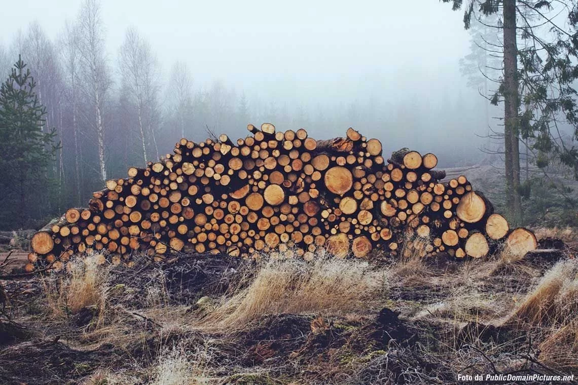 Il settore del legno USA in crisi: cosa cambia per l’Italia?