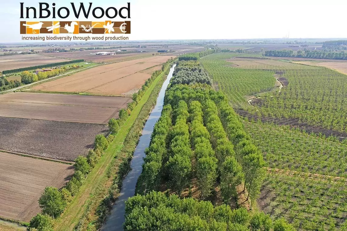Arboricoltura da legno: i prodotti di comunicazione del LIFE+ InBioWood 