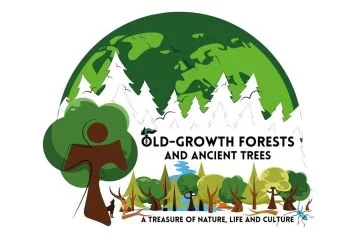 Conferenza Internazionale “Foreste Vetuste e Antichi Alberi”