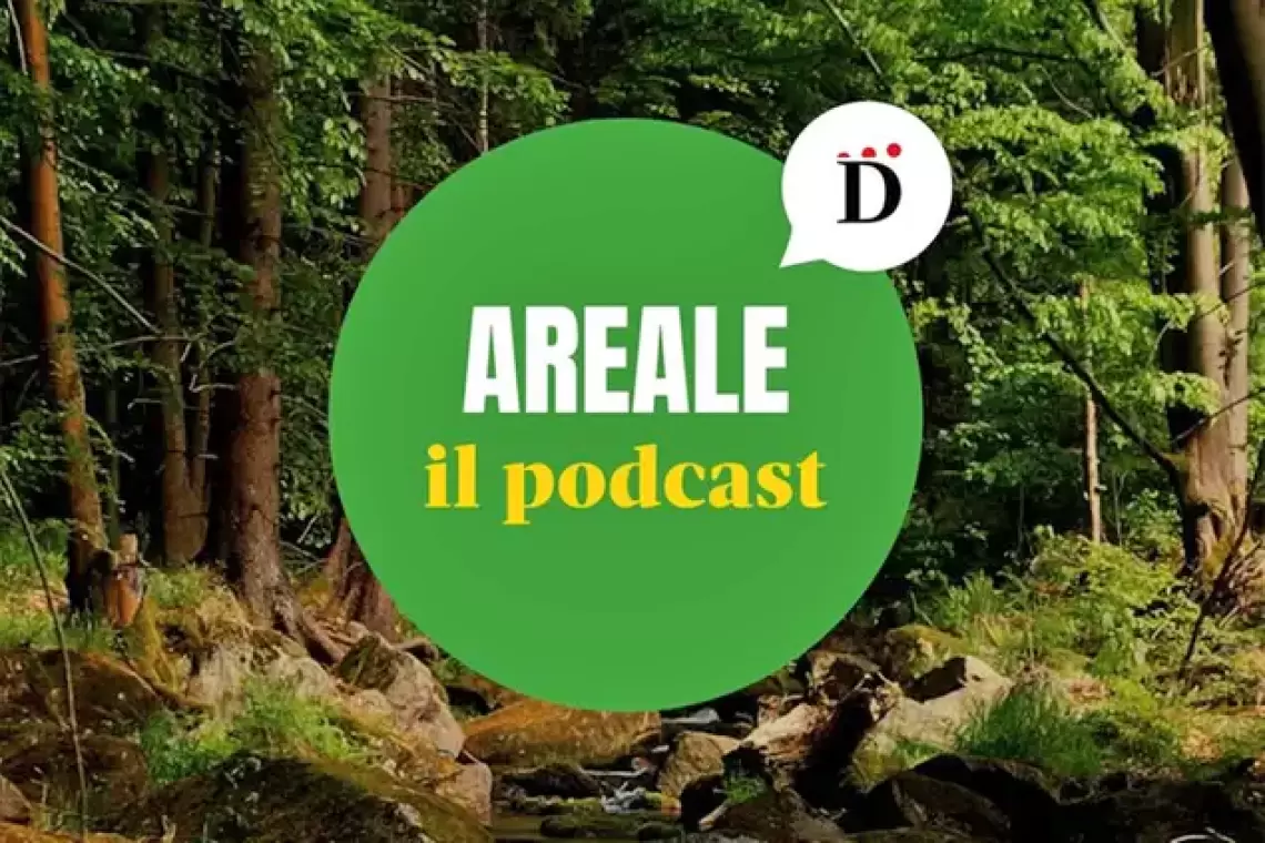 Paolo Mori ai microfoni del podcast Areale per parlare del ruolo e dell’importanza degli alberi nelle nostre città