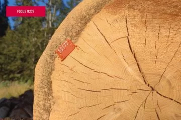 La normativa sul legno strutturale. Regole, Categorie e Classi di resistenza