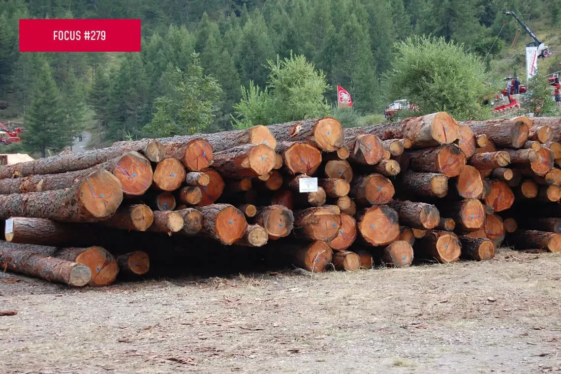 Legno strutturale italiano. Otto schede sintetiche