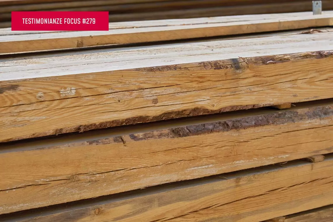 Legno locale strutturale e segherie: normativa non basta