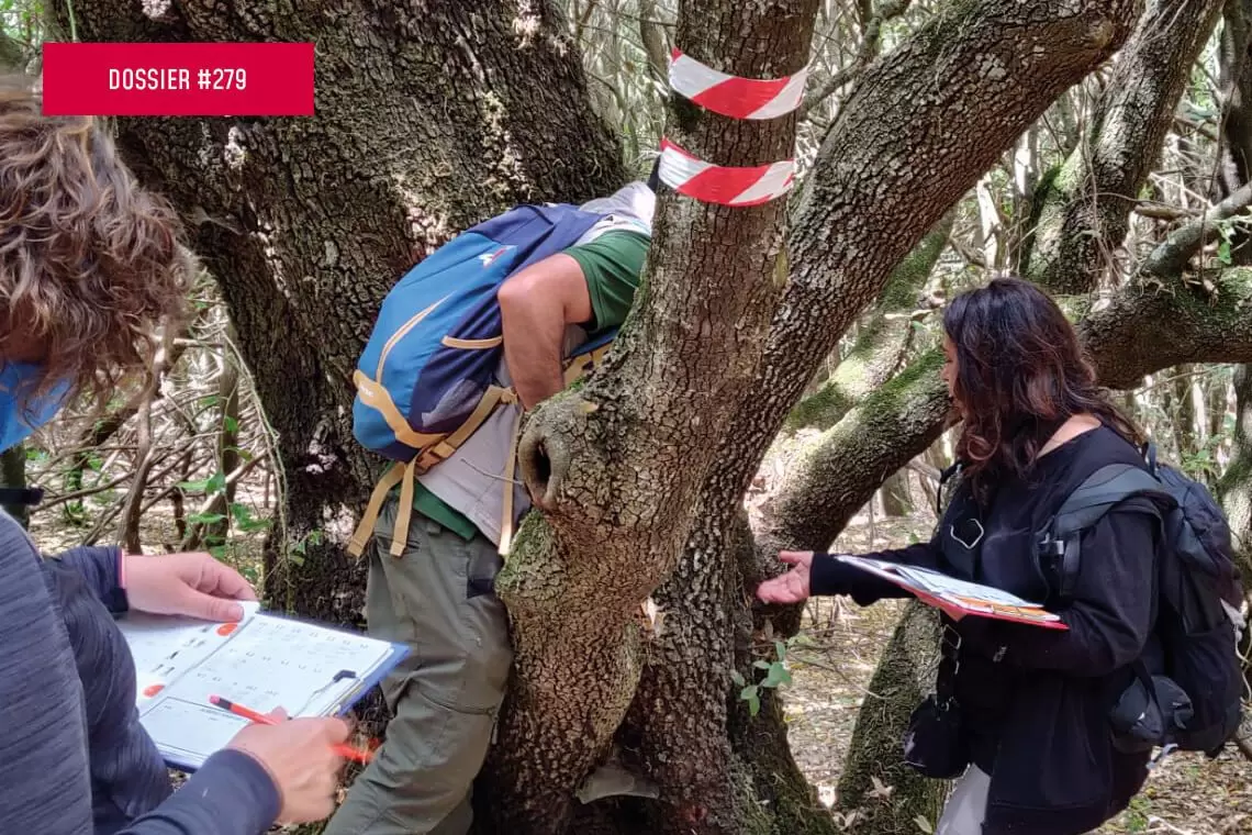 Aspettando la formazione GoProForMED