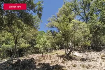 LIFE GoProForMED: modelli di gestione per incrementare la biodiversità