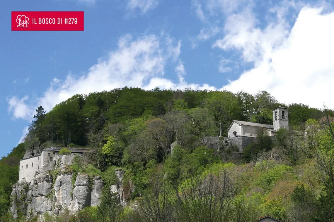 San Francesco e il bosco della Verna di Marco Paci