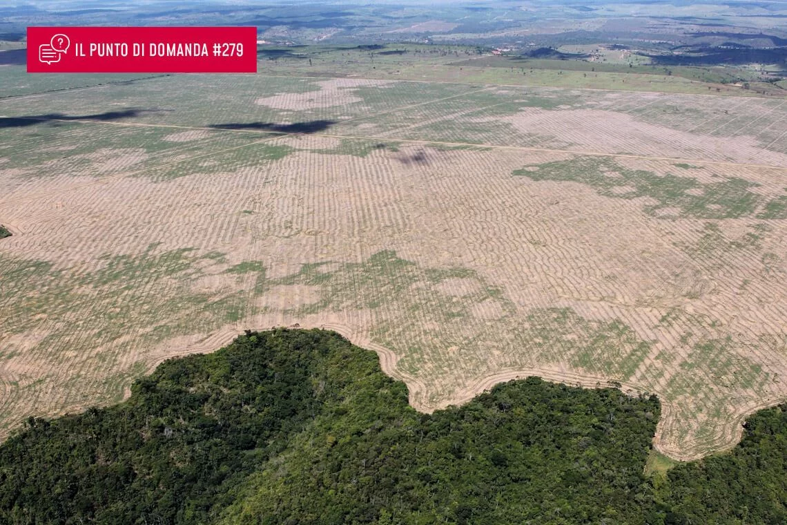 Seconda proroga per l’applicazione dell’EUDR: perché?