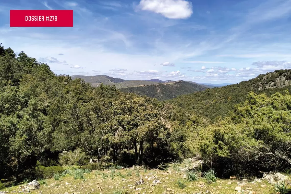 LIFE GoProForMED. Conservazione e gestione di habitat mediterranei