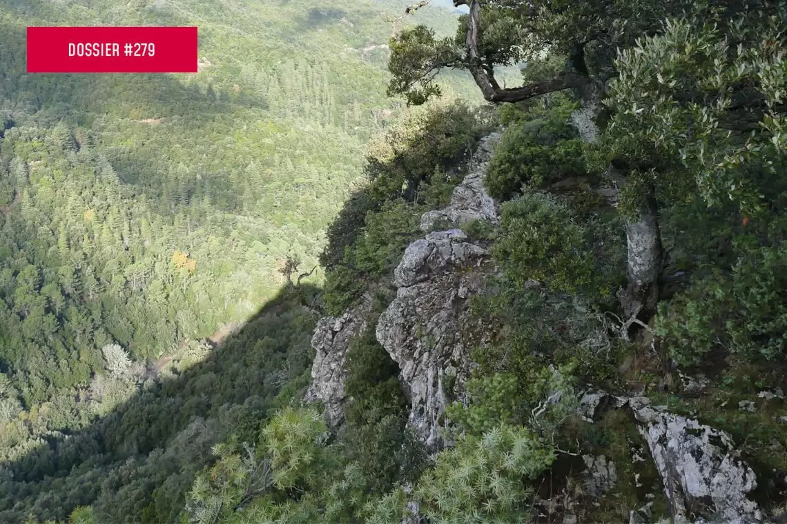 Implementare reti ecologiche e pianificazione forestale