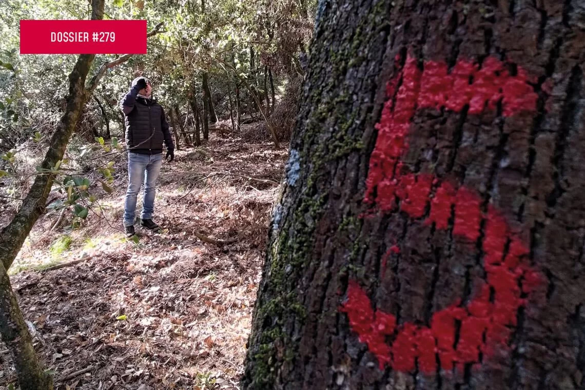 Gestione Closer-to-Nature di habitat forestali mediterranei