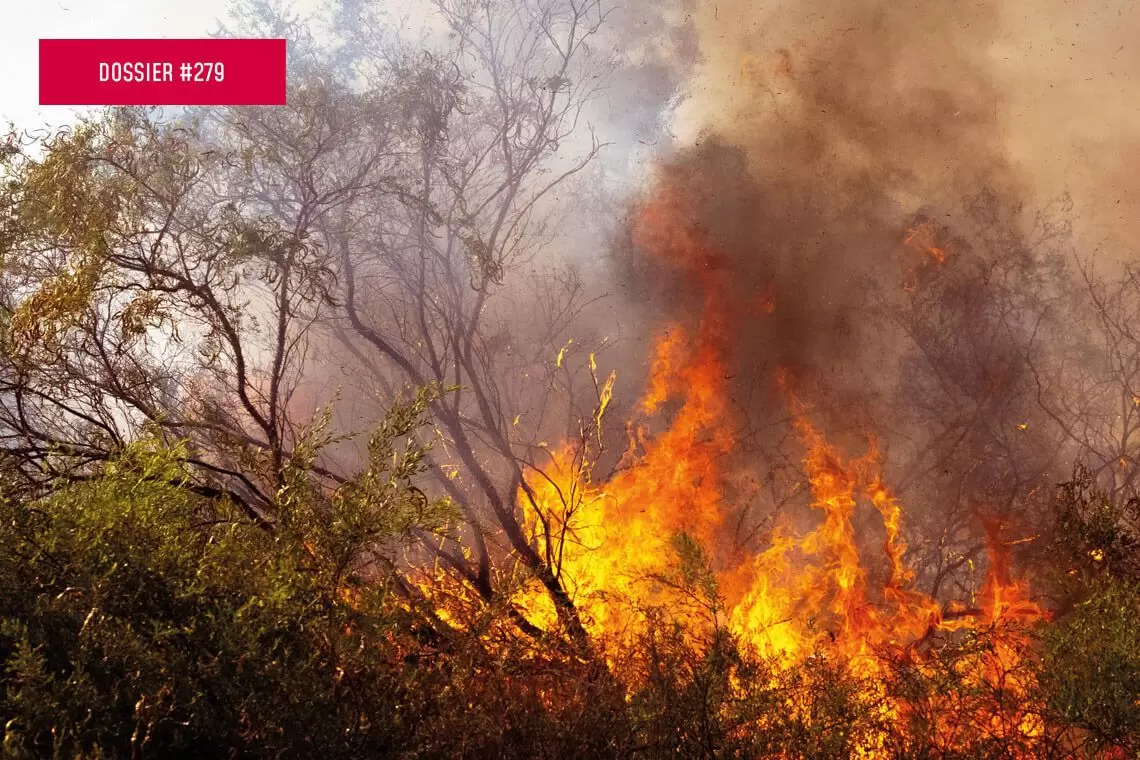 LIFE GoProForMED tra prevenzione incendi e biodiversità