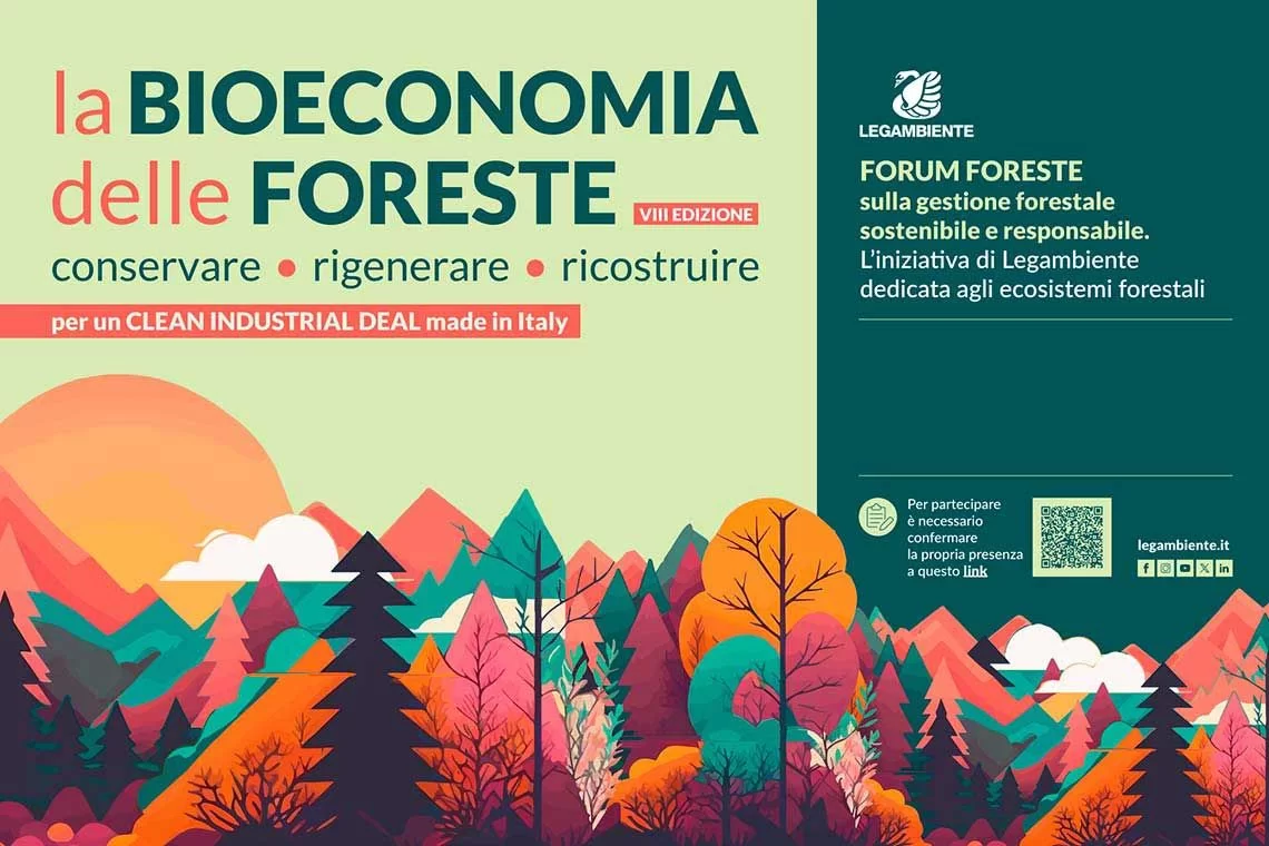La bioeconomia delle foreste
