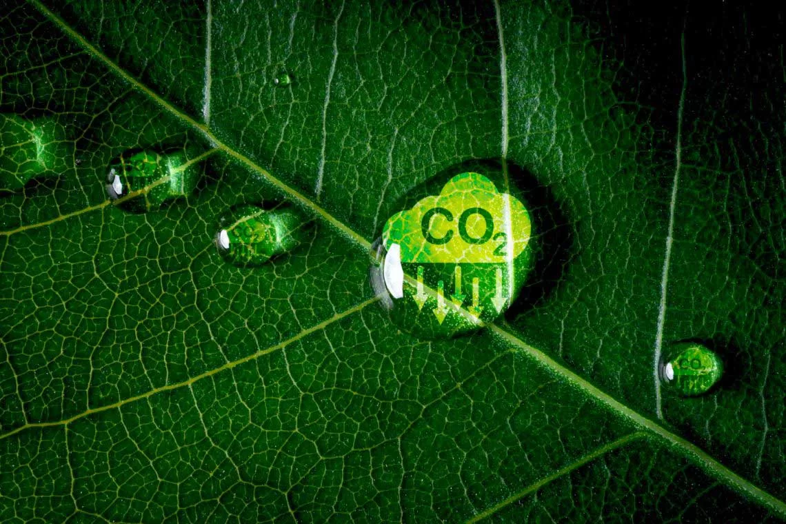 Registro nazionale dei crediti di carbonio