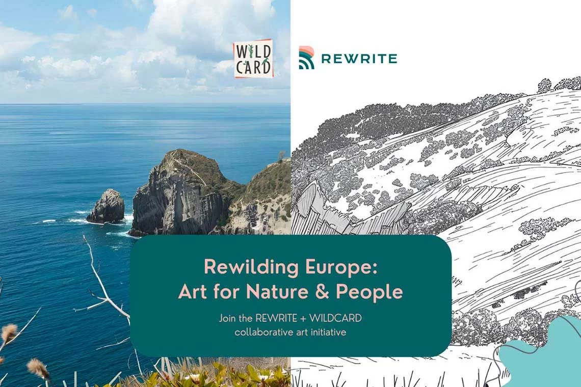 Rewilding Europe, l’arte al servizio della natura e delle persone
