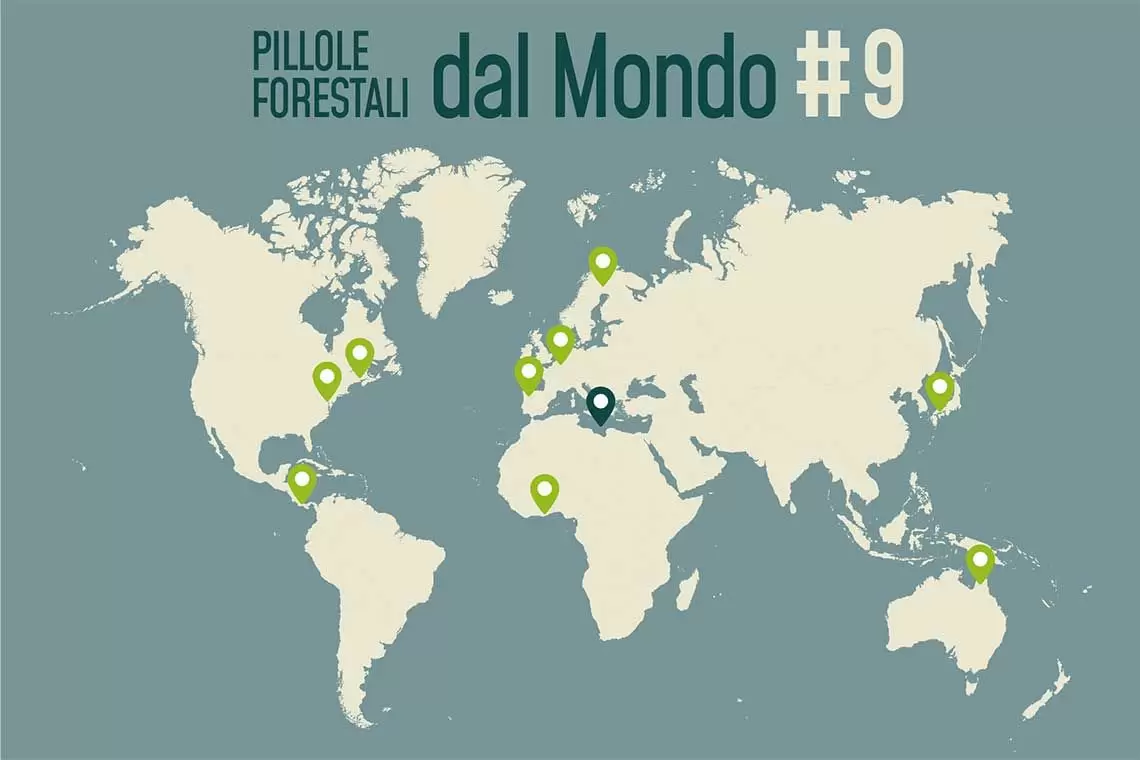 Pillole forestali dal mondo #09 - Dall’Europa in fiamme al legno protagonista in Giappone