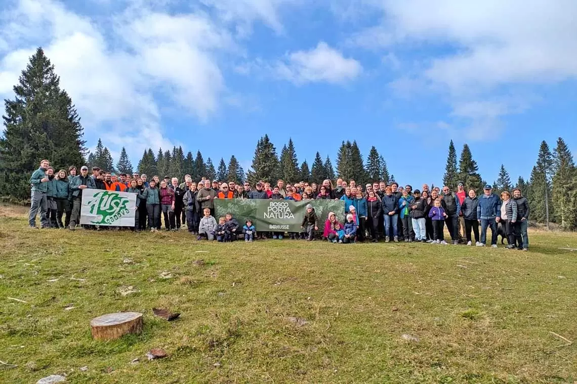 I rimboschimenti sull’Altopiano dei Sette Comuni raccontati da AUSF Padova 