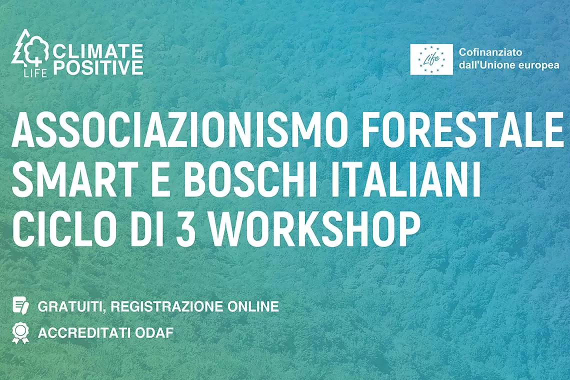 ciclo di workshop per un associazionismo forestale italiano SMART 